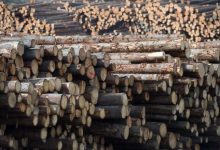WTO decision on softwood lumber cheered by Canadian producers, denounced in U.S.-Milenio Stadium-Canada