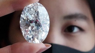 Rare 102-carat Canadian diamond-mileniostadium-canada