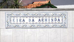 vo arminda-mileniostadium-portugal