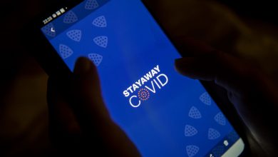 SNS24 já recebeu 20 contactos de pessoas alertadas pela StayAway Covid