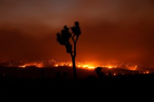 California wildfire threatens over 1,000 homes-us-mileniostadium