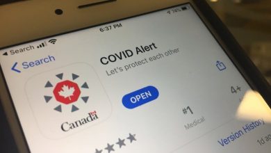 Just 5% of Ontario coronavirus cases used COVID Alert app to report infection-Milenio Stadium-Ontario