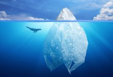 Liberals' 2021 single-use plastic ban-canada-mileniostadium