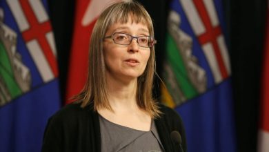 Canada's first case of rare swine flu variant found in central Alberta patient-Milenio Stadium-Canada