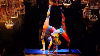 Cirque du Soleil emerges from bankruptcy protection with sale to creditors-Milenio Stadium-Canada
