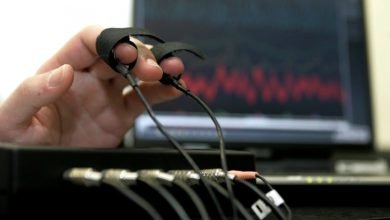 Federal government rethinking use of controversial polygraph test-Milenio Stadium-Canada