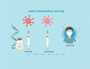 Vacina Pfizer-BioNTech COVID-19-canada-mileniostadium