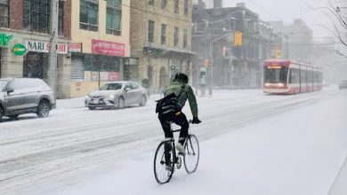 All-day winter storm to dump up to 15cm of snow on Toronto, surrounding areas-Milenio Stadium-Ontario