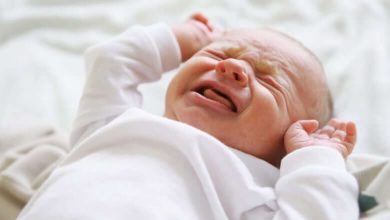1 in 20 babies in Ontario exposed to opioids in utero, study indicates-Milenio Stadium-Ontario