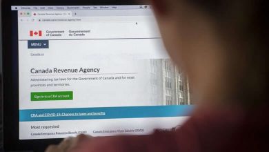CRA locks online accounts amid investigation, leaving users worried-Milenio Stadium-Canada