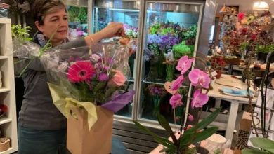 Order early for Valentine's Day, florists warn as demand blooms, supply wilts amid pandemic-Milenio Stadium-Ontario