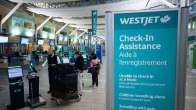 WestJet to lay off undisclosed number of pilots amid labour negotiations-Milenio Stadium-Canada