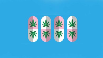milenio stadium - voxpop - cannabis2