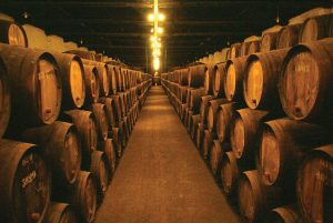 Livro sobre vinhos  portugueses com capítulo de Vinho Madeira-madeira-mileniostadium