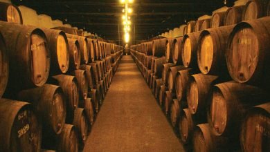 Livro sobre vinhos portugueses com capítulo de Vinho Madeira-madeira-mileniostadium