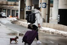 More than 200 travellers fined for refusing to quarantine in hotels after landing in Canada-Milenio Stadium-Canada