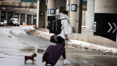 More than 200 travellers fined for refusing to quarantine in hotels after landing in Canada-Milenio Stadium-Canada