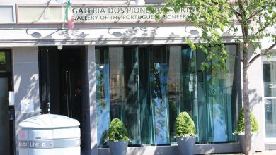 A Galeria dos Pioneiros Portugueses em Toronto-toronto-mileniostadium