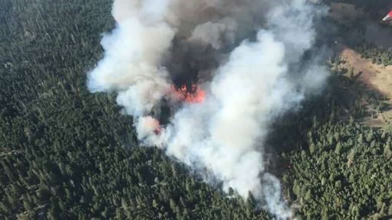 Calls grow for B.C. to declare state of emergency over wildfires, but province is standing firm-Milenio Stadium-Canada
