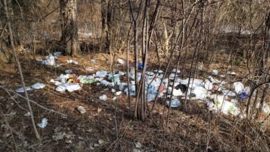 Ontario parks have seen a spike in garbage. A new campaign is trying to change that-Milenio Stadium-Ontario