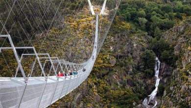 A maior ponte pedonal suspensa do mundo - portugal-mileniostadium