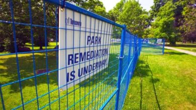 Security fence in Trinity Bellwoods to stay for weeks so grass can grow back, city says-Milenio Stadium-Ontario