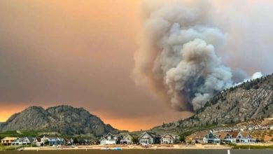 Wildfire between Oliver and Osoyoos grows, evacuation orders issued for hundreds of properties-Milenio Stadium-Canada