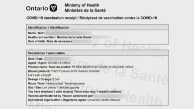 Few likely to forge vaccine certificates, medical exemptions, Ontario says, but expert says it's easy-Milenio Stadium-Ontario