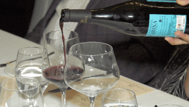 Prova de vinhos portugueses conquistou-toronto-mileniostadium