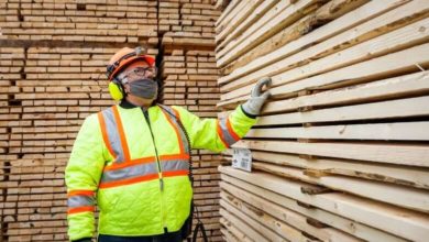 Lumber crash leads to 'blowout' sales as prices crater-Milenio Stadium-Canada