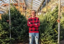 Christmas tree shortage forces Calgary retailers to scramble to fill orders this year-Milenio Stadium-Canada