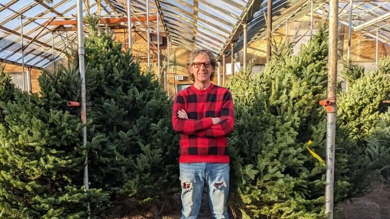 Christmas tree shortage forces Calgary retailers to scramble to fill orders this year-Milenio Stadium-Canada