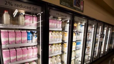 Cost of dairy products could spike in Canada next year-Milenio Stadium-Canada