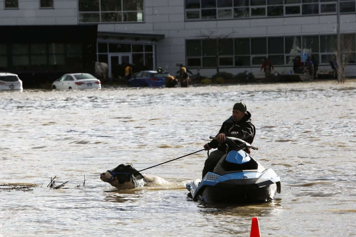 Floods in BC-Milenio Stadium-Canada