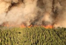 Ontario forest fires burned record area of land this summer as they displaced First Nations in northwest-Milenio Stadium-Ontario