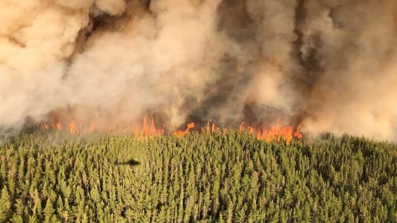 Ontario forest fires burned record area of land this summer as they displaced First Nations in northwest-Milenio Stadium-Ontario