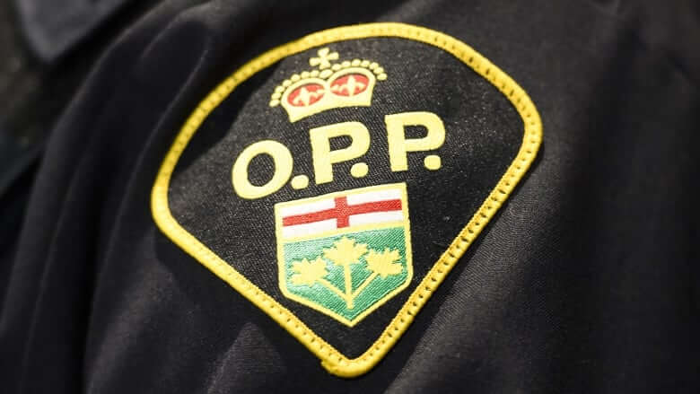 Ontario government employee among 2 arrested after COVID-19 vaccine system breach-Milenio Stadium-Ontario