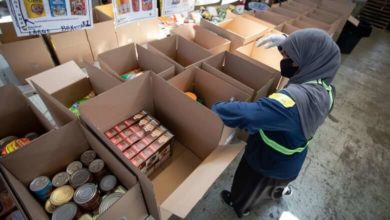 Toronto food banks record highest number of visits ever during pandemic, new report says-Milenio Stadium-Ontario