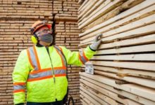 U.S. hikes duty on Canadian softwood lumber to 17.9% — twice the old rate-Milenio Stadium-Canada