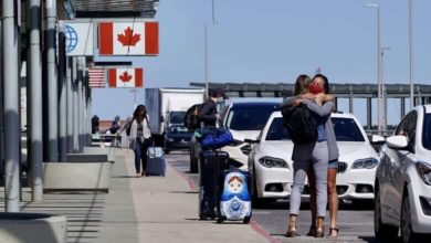 Travel agents say they're in trouble after slew of trip cancellations-Milenio Stadium-Canada