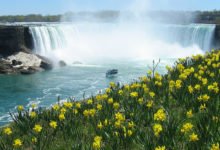 milenio stadium - Niagara Falls