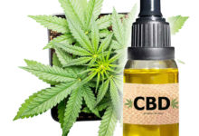 cbd-oil-plain-cannabis- - milenio stadium