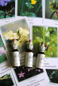 try-bach-flower-remedies-to-manage-problems-of-oldage - milenio stadium