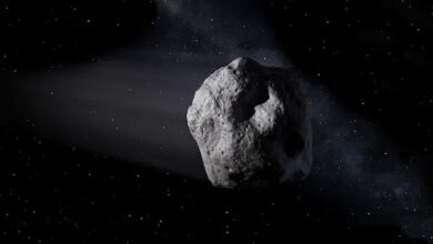 asteroide - milenio stadium
