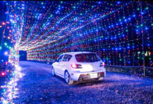 bingemans-gift-of-lights-2019-is-returning-with-2-km-of-magical-lights-and-tunnels