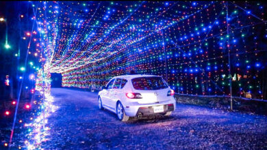 bingemans-gift-of-lights-2019-is-returning-with-2-km-of-magical-lights-and-tunnels