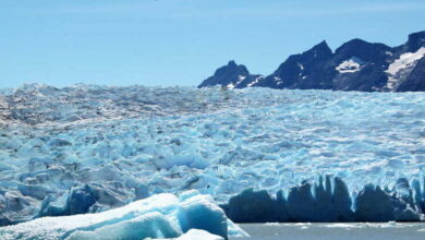 Iceberg breaking off in Antarctica is 'common phenomenon', says Chilean glaciologist