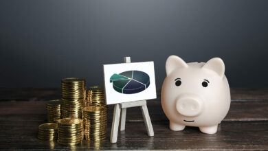 piggy-bank-and-budget-money-2022-11-09-06-42-16-utc