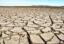 11446-asia-drought-climate-change