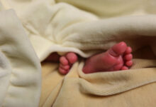 Porto, 23/12/2010 - Reportagem sobres crianças recem - nascidas aband